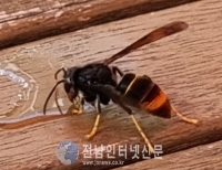 헤드라인 기사 이미지