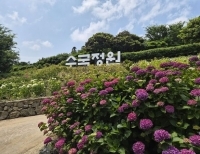 기사이미지