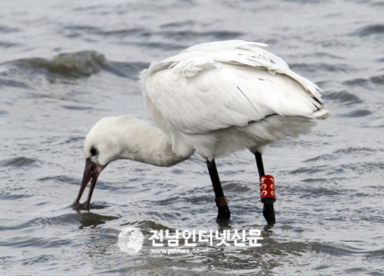 기사이미지