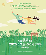 담양대나무축제