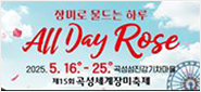 곡성 All day rose