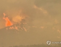헤드라인 기사 이미지