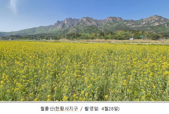  기사 이미지
