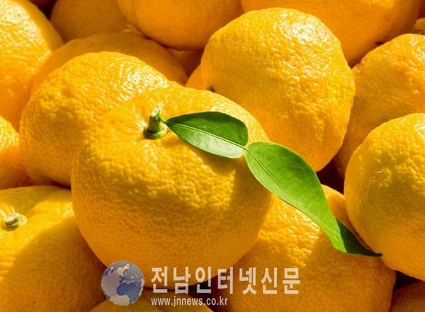 고흥군, 고흥 유자 ‧ 관자 세계 정상들 입맛 사로잡았다