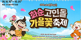 화순가을꽃축제