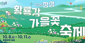 장성 황룡강 가을꽃 축제